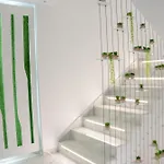 Alsa Conil * Conil De La Frontera