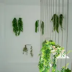 Lejlighed Alsa Conil *