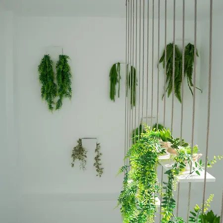 Apartamento Alsa Conil *