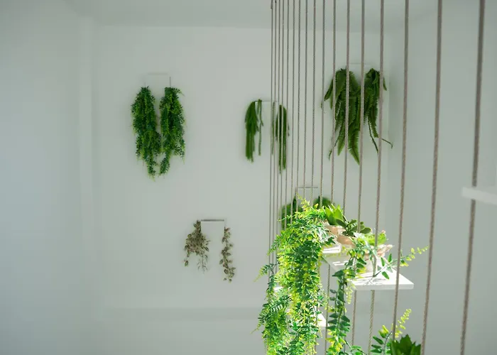 Διαμέρισμα Alsa Conil *