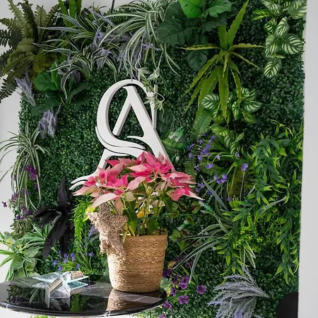 Daire Alsa Conil Conil De La Frontera