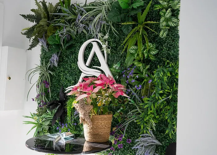 Daire Alsa Conil Conil De La Frontera